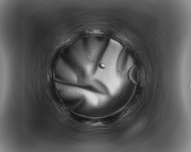 X0000085780747200703301425