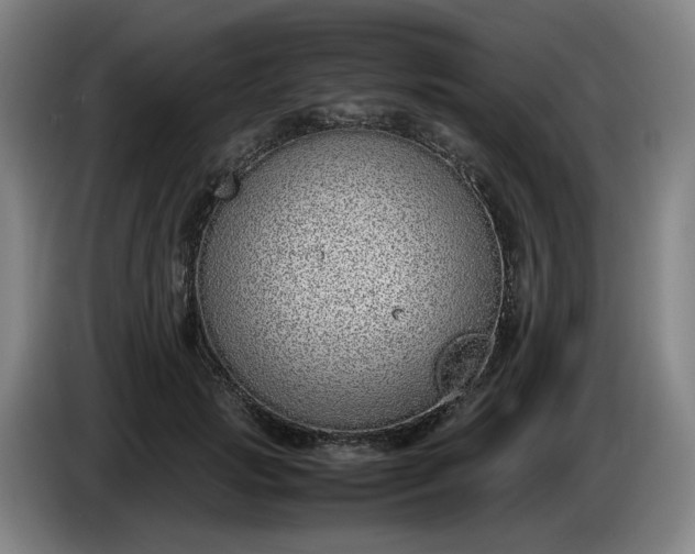 X0000085780749200703301425