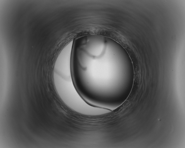 X0000085780750200703301425