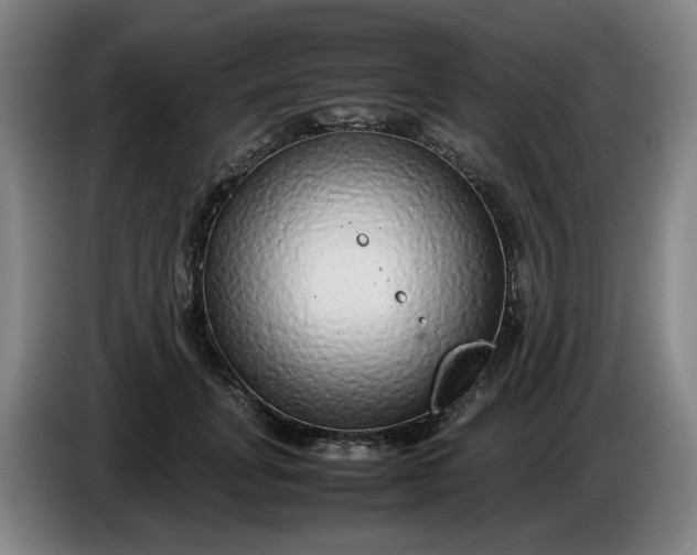 X0000085780751200703301425