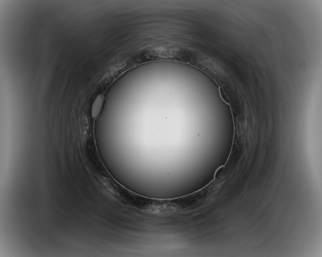 X0000085780752200703301425