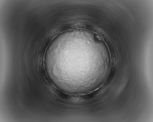 X0000085780753200703301425