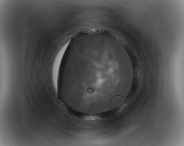 X0000085780754200703301425