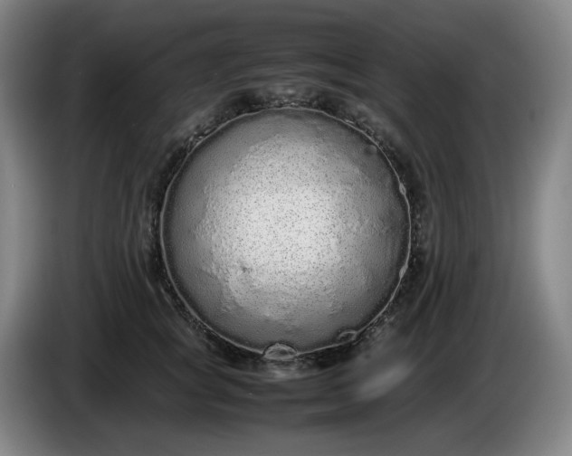 X0000085780757200703301425