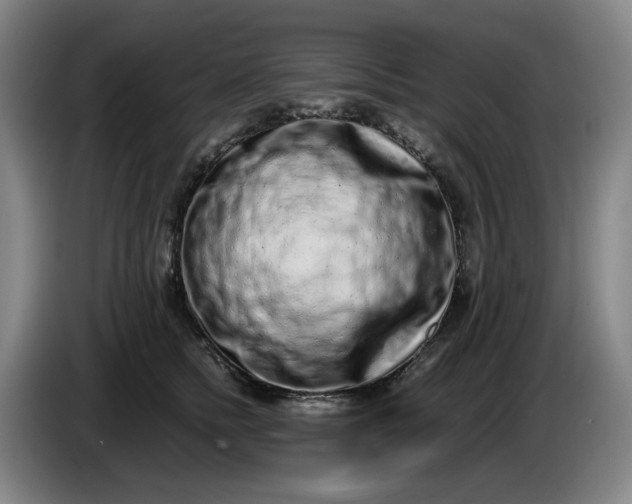 X0000085780758200703301425