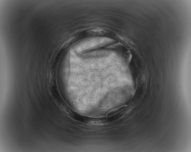 X0000085780759200703301425