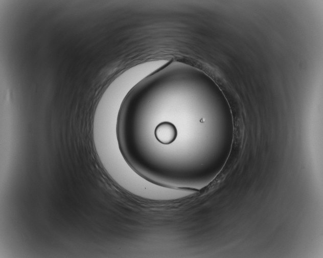 X0000085780762200703301425