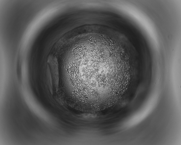 X0000085780765200703301425