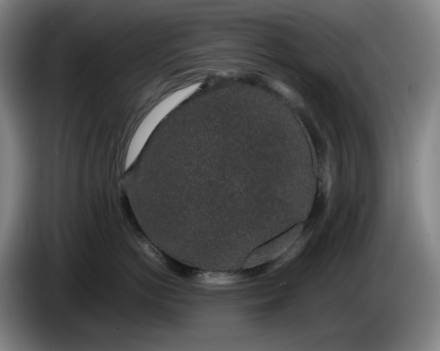 X0000085780766200703301425