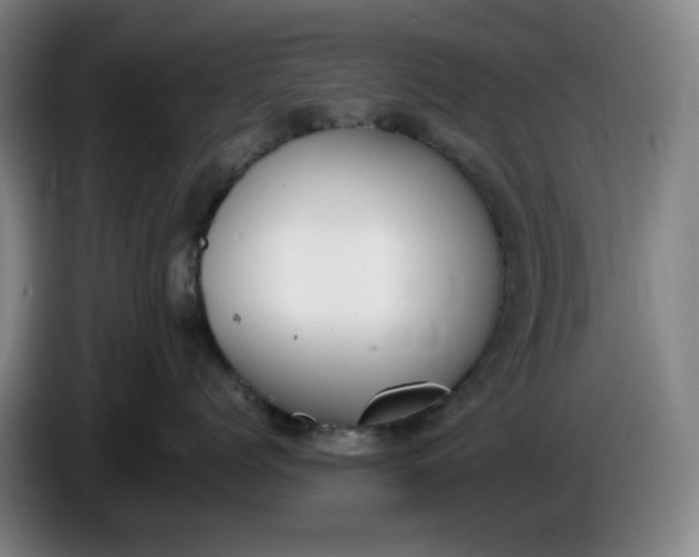 X0000085780768200703301425