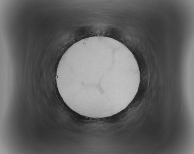 X0000085780769200703301424