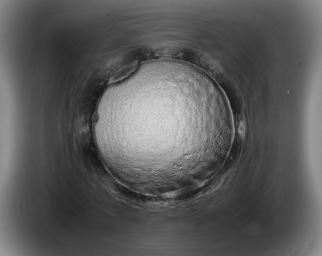 X0000085780771200703301424