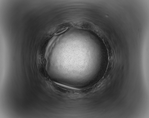 X0000085780772200703301424