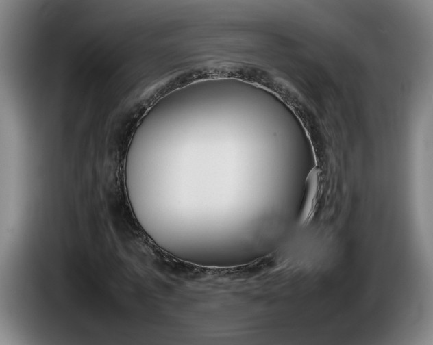 X0000085780773200703301424