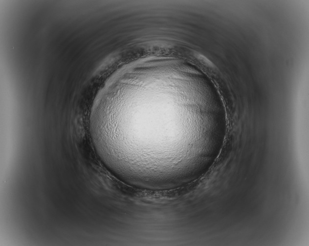 X0000085780774200703301424