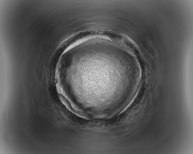 X0000085780775200703301424