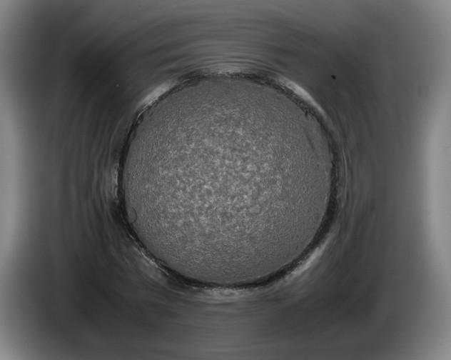 X0000085780777200703301424