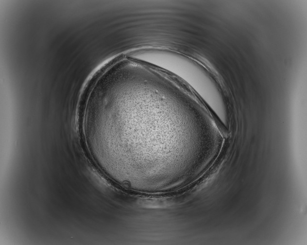 X0000085780780200703301424