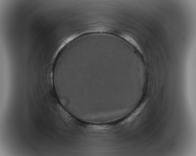 X0000085780781200703301424