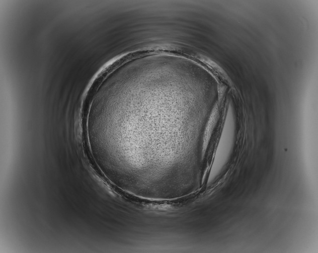 X0000085780784200703301424