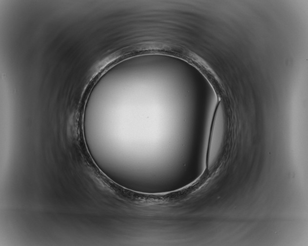 X0000085780786200703301424