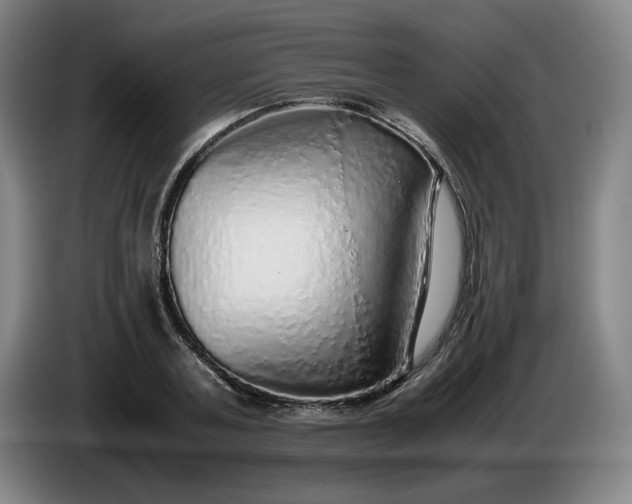 X0000085780787200703301424