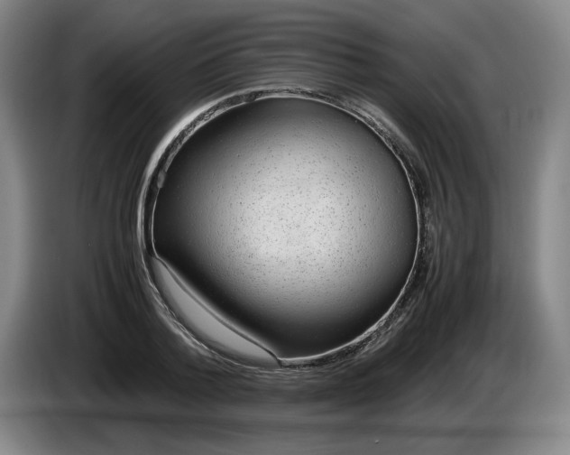 X0000085780788200703301424