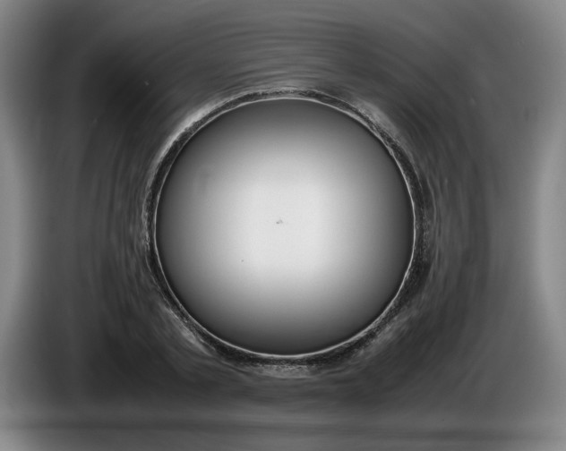 X0000085780789200703301424