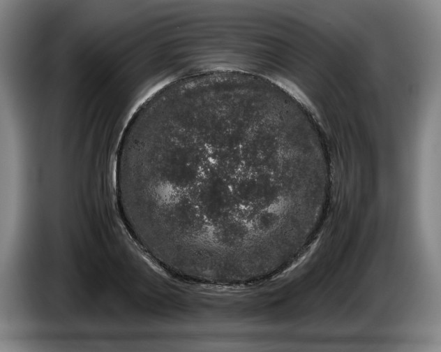 X0000085780790200703301424