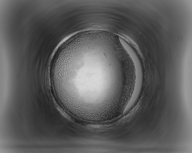 X0000085780792200703301424