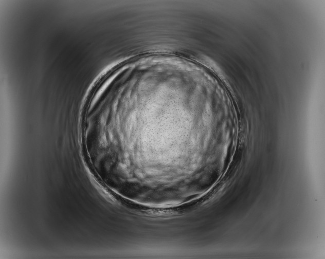 X0000085780795200703301424