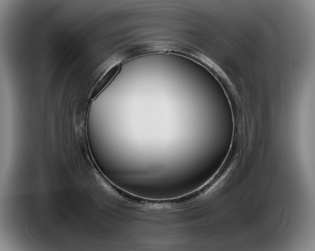 X0000085780801200703301424