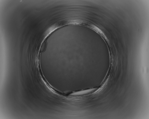 X0000085780802200703301424