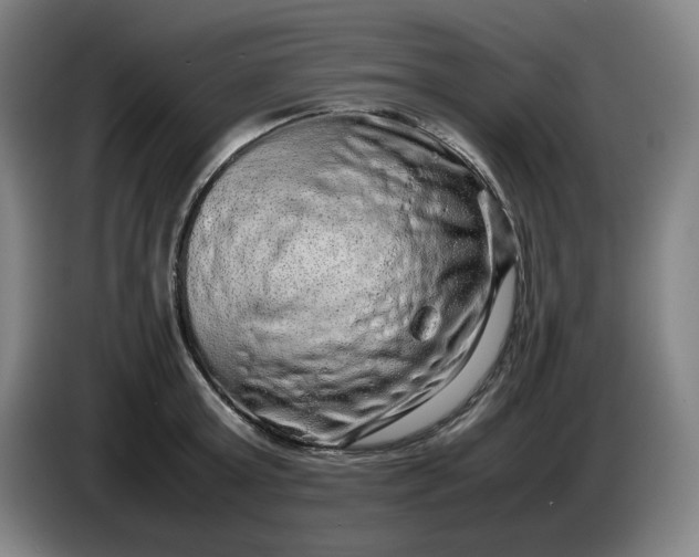 X0000085780803200703301424