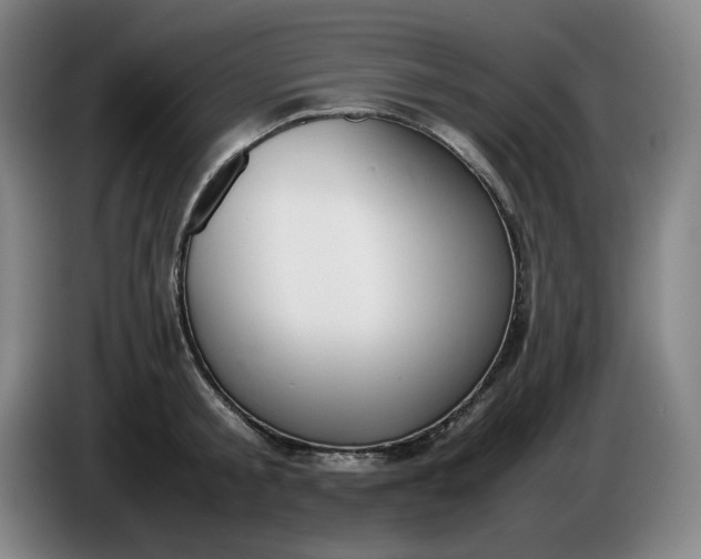 X0000085780805200703301424