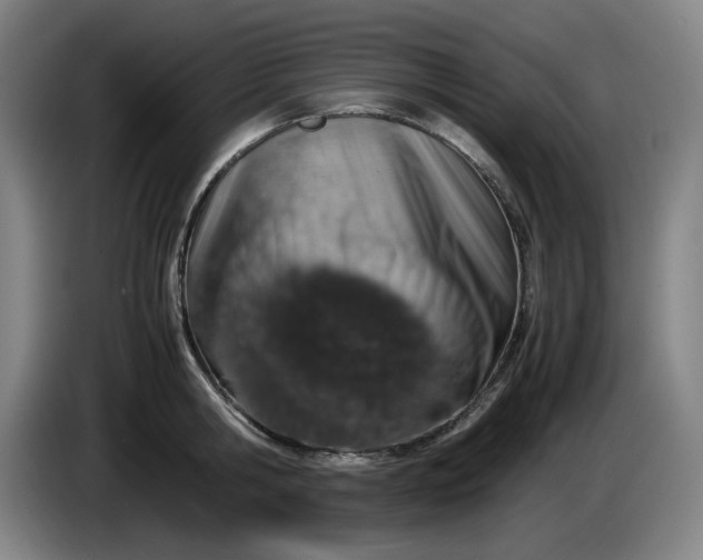 X0000085780806200703301424