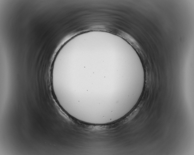 X0000085780808200703301424