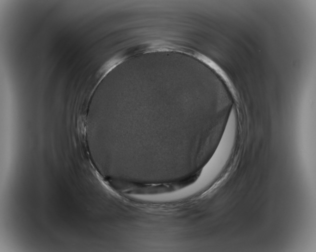 X0000085780809200703301424