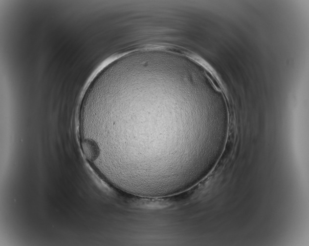 X0000085780811200703301424