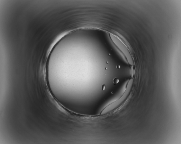 X0000085780812200703301424