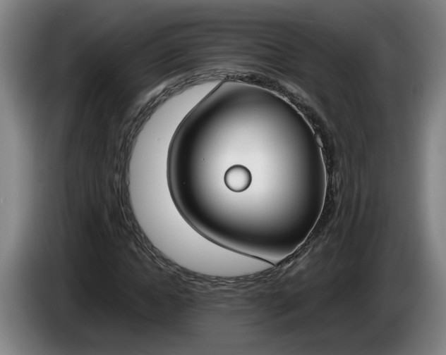 X0000085780822200703301423