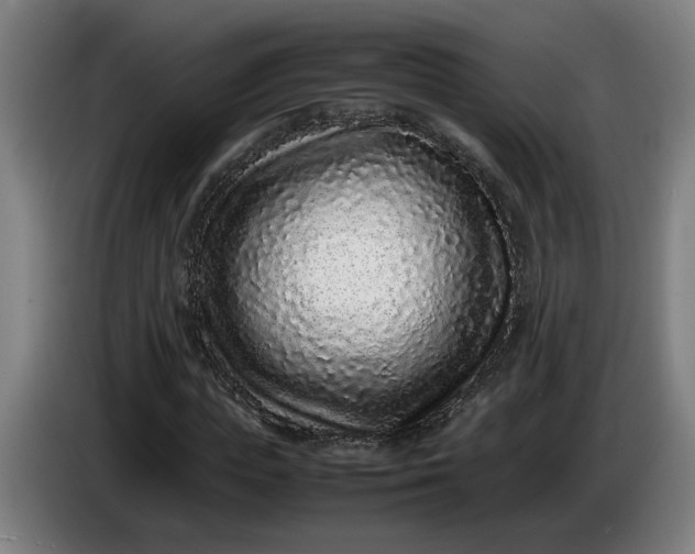 X0000085780823200703301423