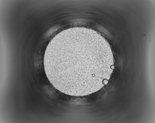 X0000085780824200703301423