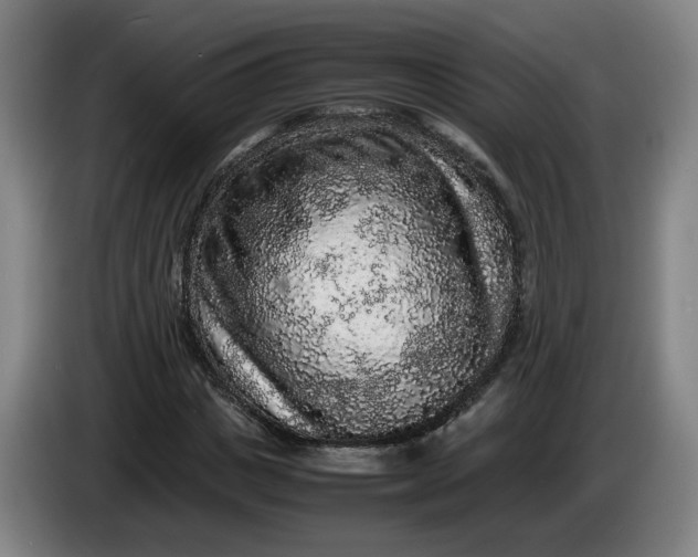 X0000085780825200703301423