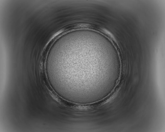 X0000085780827200703301423