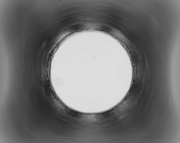 X0000085780828200703301423