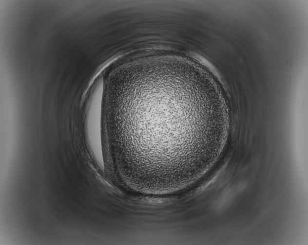 X0000085780829200703301423