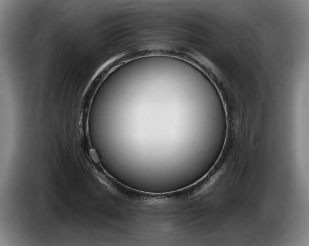 X0000085780830200703301423