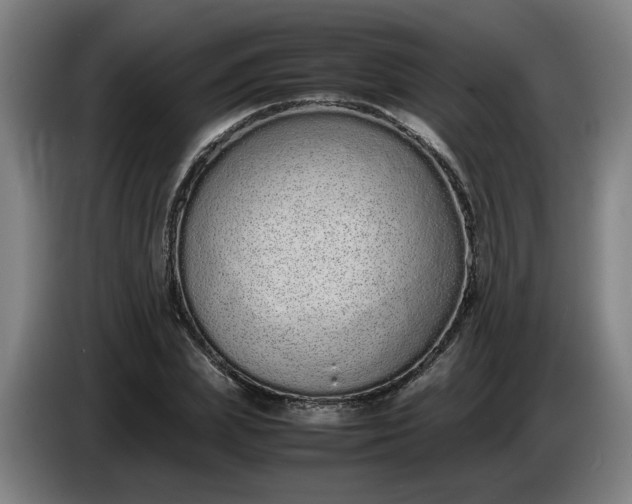 X0000085780831200703301423