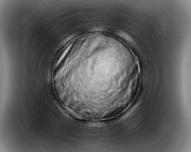 X0000085780833200703301423